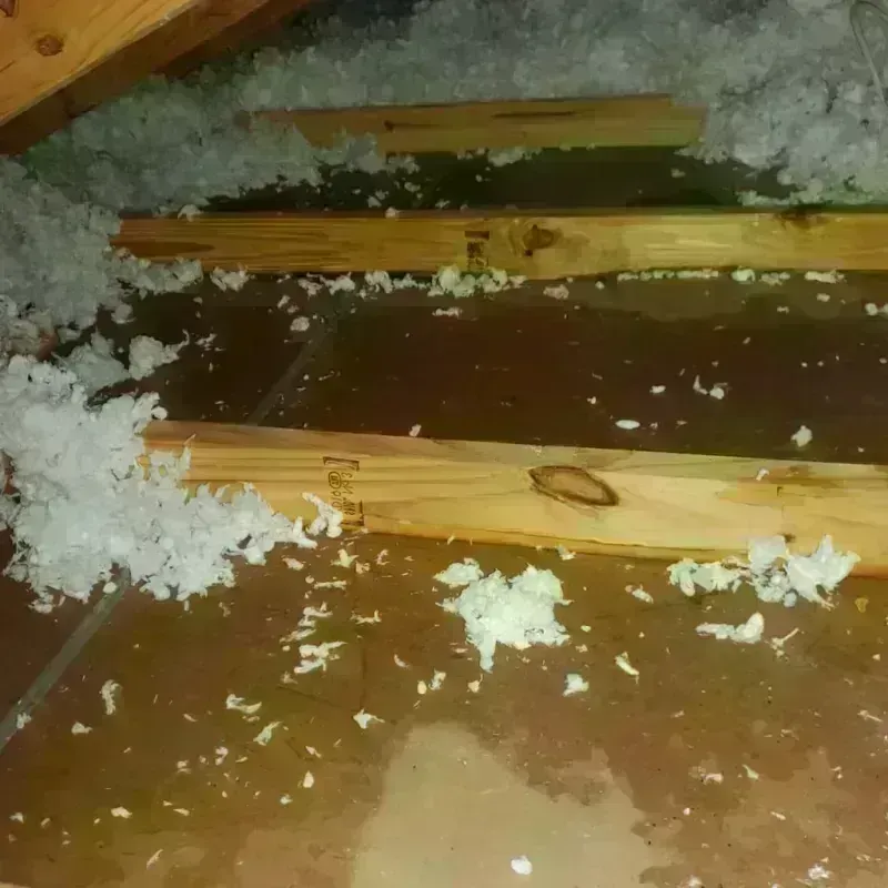 Attic Water Damage in Elroy, WI