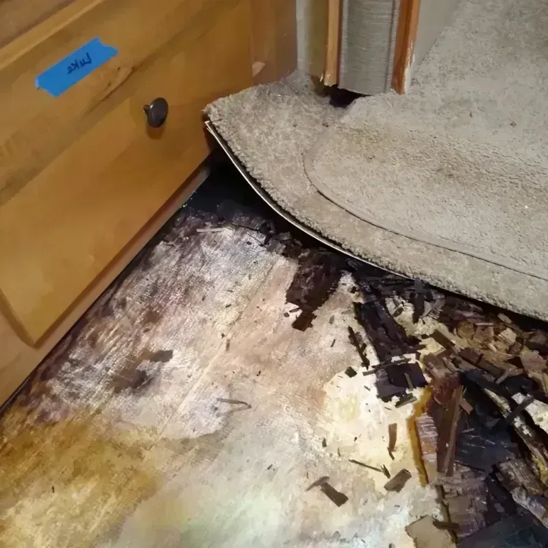 Wood Floor Water Damage in Elroy, WI